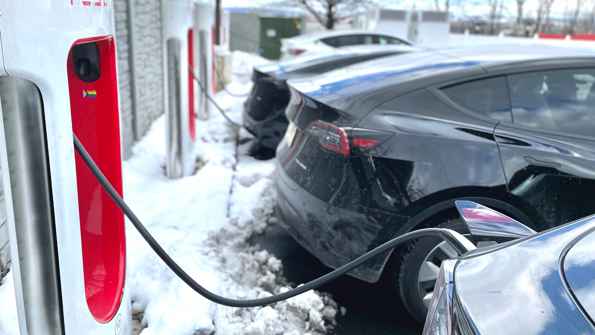 Flera Tesla-bilar står och laddar vid Tesla-laddare.
